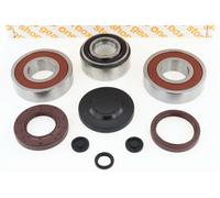 BMW 6 Velocità ZF GS6X37BZ/GS6X37DZ Cuscinetto Del Cambio & Paraolio Rebuild Kit