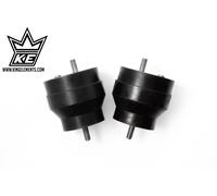 BMW e46 330d Supporti motore
