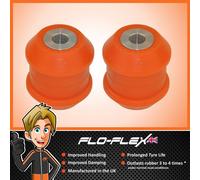 BMW E46 Compact Bracci Inferiori Posteriori Esterni In Poliuretano Flo-Flex