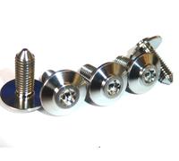 BMW Parafango In Titanio M5x14 46638534938 Vite Torx Testa T25