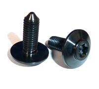 BMW Parafango In Titanio M5x14 46638534938 Vite Torx Testa T25