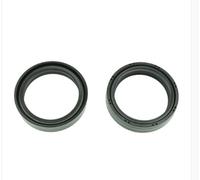 BMW R NINET URBAN GS 1170 KIT PARAOLIO FORCELLA 43X54X11 MM 2017 2024