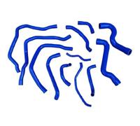 BNEAIGHW Tubo in Silicone Tubo Flessibile del refrigerante 17127531769 17127531768 17127565092 64216951946 64216928590 64216928591 for N46N N46 E88 E82 E90 E91 E92 E93 Accessori Moto(all 12 PCS Blue)