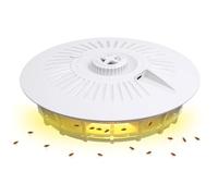 BNGXR Trappola per pulci (2)