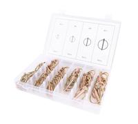 Bnineteenteam Kit di Assortimento di Perni per Camion 50pcs, Kit Multip -specifica con Inserimento di Perno Ad Anello Facile, Duratura in Acciaio Ad Alta Resistenza, Utilizzo Versatile per Rimorchi