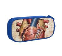 BNVSADC Astuccio grande con stampa di grafici a forma di cuore con anatomia umana, astuccio per matite carino, astuccio per cancelleria per ufficio e scuola, organizer per ragazze e ragazzi, nero, Blu