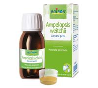 AMPELOPSIS WESTRATTO IDROALCOLICO BOIRON MACERATO GLICERICO 60 ML