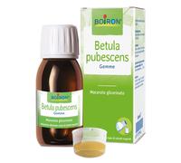 BETULA PUBESCENS MACERATO GLICERICO 60 ML INT