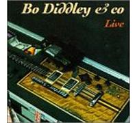 Bo Diddley - Live