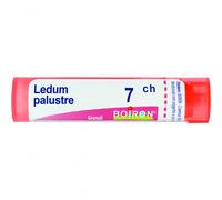 Ledum Palustre Boiron 80 Granuli 7 Ch Multidose 4g