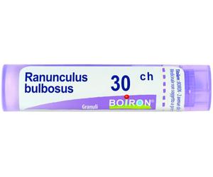 BO.RANUNCULUS BULBOSUS 30CH GR