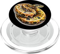 Boa brasiliano arcobaleno serpente PopSockets PopGrip per MagSafe