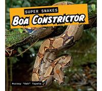 Boa Constrictor