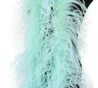 Boa di piume di struzzo bianco da 2 metri, 10/15 strati, soffice boa di piume di struzzo per costumi, decorazione per abiti da sposa, verde menta, 6 strati, 2 metri