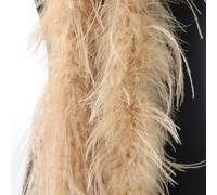 Boa di piume di struzzo di alta qualità, 2 metri, elegante scialle per burlesque e accessorio flapper, vivace per la decorazione di costumi per addio al nubilato, rosso (cammello)