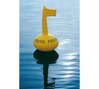 BOA KRISTAL FISHING PER RECUPERI ELETTRICI