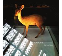 Boa Morte - The Total Space