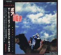 Boa - Race of 1000 Camels