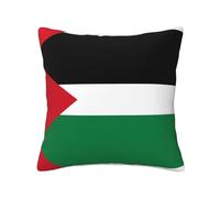 BOAIHH Federa per cuscino con bandiera dello Stato della Palestina, 30,5 x 30,5 cm, morbida, delicata sulla pelle e confortevole, con cerniera, adatta per divano, auto e camera da letto