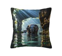 BOAIHH Federa per cuscino con elefante asiatico in acqua, 50,8 x 50,8 cm, morbida, delicata sulla pelle e confortevole, con cerniera, adatta per divano, auto e camera da letto