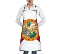 BOAIHH Grembiule multifunzione con bandiera della Florida, comodo, protettivo e a prova di olio, adatto per vari luoghi di ristorazione
