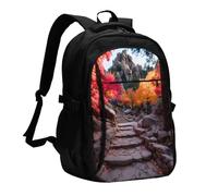 BOAIHH Sentieri escursionistici Zaino di grande capacità Computer Scomparto indipendente di progettazione di sollievo della pressione Lavoro Pendolarismo