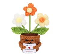 BOAITE Grazie, regalo positivo con patate tedesche, piccolo regalo di ringraziamento per amici colleghi e famiglie, borsa positiva a maglia