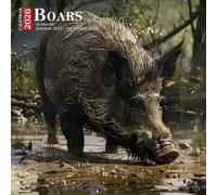 Boars Calendar 2026: Wild Forest Dwellers Roaming Rugged Natural Landscapes