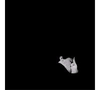 Bob Moses Days Gone By (Vinyl LP) 12" Album