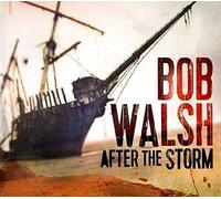 Bob Walsh - After The Storm