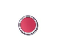 BOBBI BROWN Pot Rouge Velvet Matte (02 Guava Punch)