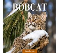 Bobcat Calendar 2027: Wild Cat and Forest Photography