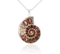 BOBEINI Naturale Ammonite Fossili Ciondolo Gioielli Tono Argento Ammonite Fossili Pietra Avvolto Ciondolo Collana Gioielli Moda
