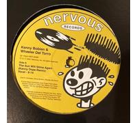 Bobien Kenny & Del Toro Wheeler - The Sun Will Shine (12")