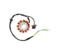 Bobina 12 Poli Statore Bobina Statore Accensione per GY6 125Cc 150Cc