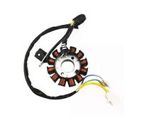 Bobina 12 poli Statore DC Bobina di accensione Statore per GY6 125Cc 150Cc