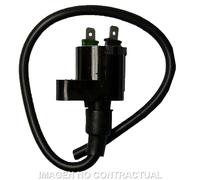 Bobina 12v 0,30 ohm-2 Connettori Faston per Moto Ricambi Accessori Pezzi Ricambi