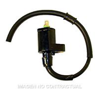 Bobina 12V 0,30 Ohm-2 Fastons Per Moto Ricambi Accessori Parti