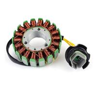 Bobina a piastra statore per Sea-Doo DI950cc 951LRV 2002-2003 2006-2007 3D resistente | per Sea-Doo DI950cc 951LRV 2002-2003 2006-2007, 290888651, facile installazione, resistente, costruzione robusta