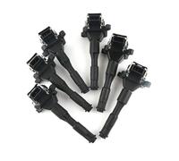 Bobina Accensione 1 Pz / 6 Pz Per X5 Z8 E36 E46 E39 E38 Bobina Accensione OEM 0221504029 12131703227 12131748018 Magneto Statore(6 pcs)