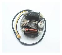 Bobina Accensione 2 TIPI Per PUCH Per Bobina Statore 6V 17W 35W Per Zundapp Per Kreidler Per Hercules PER Accensione Alternatore Bobina Statore 17 W 35 W Ignition Coil(17W)