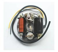 Bobina Accensione 2 TIPI Per PUCH Per Bobina Statore 6V 17W 35W Per Zundapp Per Kreidler Per Hercules PER Accensione Alternatore Bobina Statore 17 W 35 W Ignition Coil(35W)