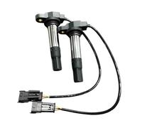 Bobina Accensione 38010144b 38010145b Bobina Accensione Per Ducati 848 939 1098 1198 Per Devil Per Mts950 Per Mts1200 Per Hacker 821 0040104004 Bobine Accensione(2 pezzi)