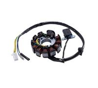 Bobina Accensione Accessori Per Motociclette Motore Bobina Di Accensione A 11 Poli GY6-150/157 Gruppo Bobina Statore Generatore Moto