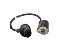 Bobina Accensione Accessori Per Motociclette Per UA125T UZ UM125T-A/C Bobina Accensione Ad Alta Pressione
