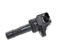 NTY Bobina d'accensione compatibile con HONDA ECZ-HD-018