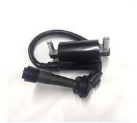 Bobina Accensione ASSY Per Benelli BN251 BN250 TNT25 TNT250 Per BN TNT 25 250 251 BJ250 TRK251 Per Leoncino 250 TRK 251 Bobina Di Accensione
