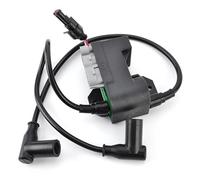 Bobina Accensione Bobina Accensione 512060040 512059945 Per Ski-Doo Per Expedition Per GSX Per GTX Per MX Per Summit 512060044 Per GSX Per GTX Per MX Z 380F Ignition Coil