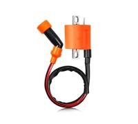 Bobina Accensione Bobina Accensione CDI Igniter Per Timberwolf 250 Per YFB250 FW 4x4 1994-2000 Per Bear Tracker 250 YFM250 1999-2000 4BD-85540-10-00