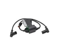 Bobina Accensione Bobina Accensione Motore 512060040 512059945 Per Ski-Doo Per Expedition 550F Per GSX 550F Per Ventola Per GTX 550F Per Ventola Per MX Z Per Summit Ignition Coil